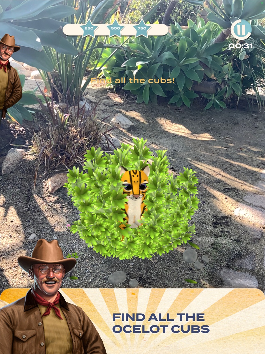 Find the ocelot cubs, hidden in real foliage.